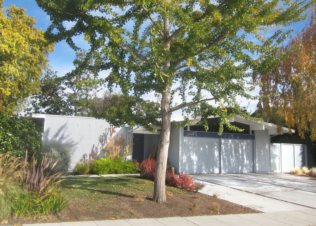 Eichler with trees