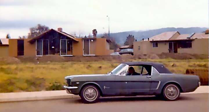Eichlers with Mustang