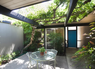 Wisteria-filled atrium in Christiane Andreopoulos' Eichler
