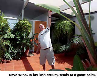 atrium man with palm