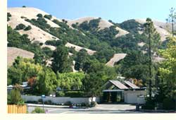 lucas valley