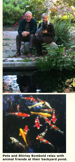 Rombolds and animal friends