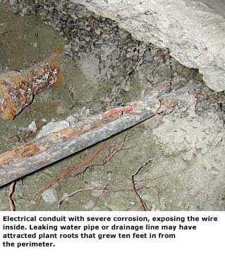 electrical image