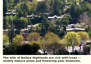 hills of balboa highlands